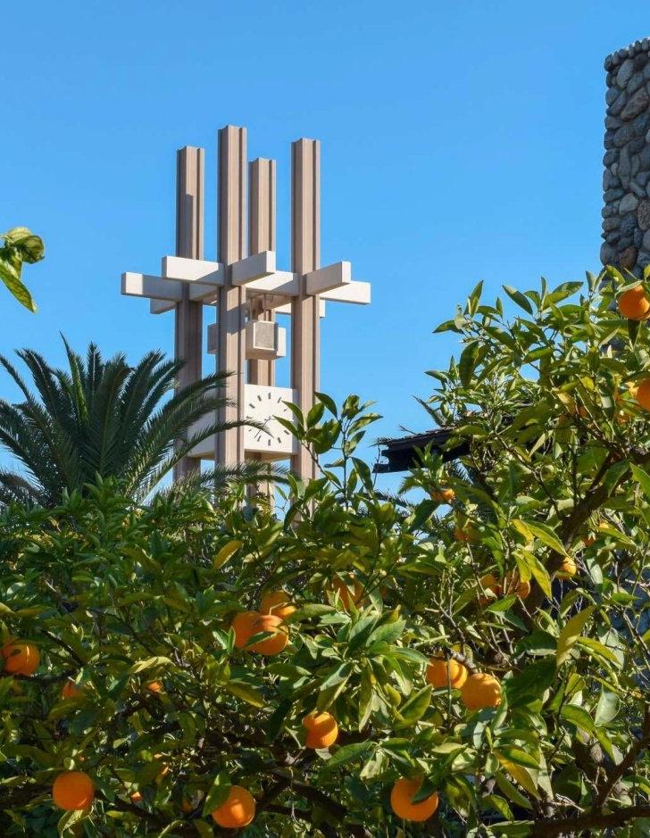 Clock Tower looms in the background in front of orange trees